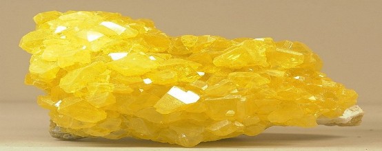 Oltingugurt haqida malumot