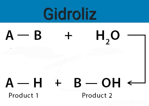 Gidroliz turlari haqida malumot