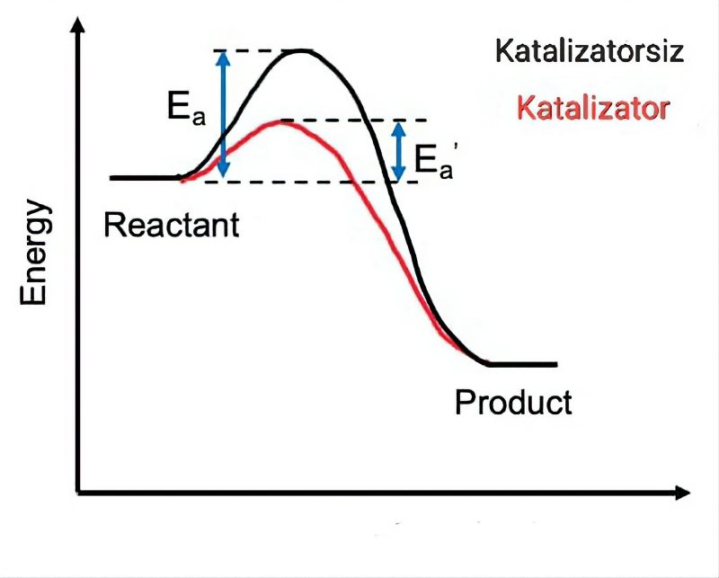Kataliz va katalizator haqida