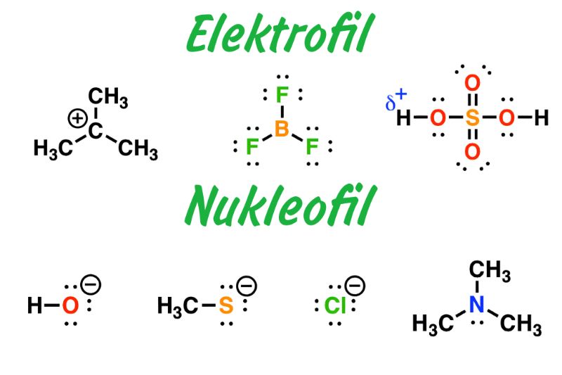 Elektrofil va nukleofil o'rtasidagi farq