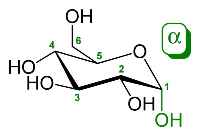 Uglevodlar — Monosaxaridlar haqida