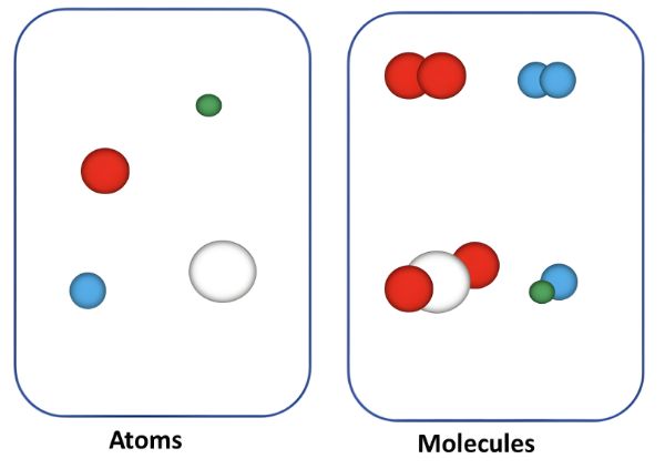 Atom va molekulalar orasidagi farqlar nima?