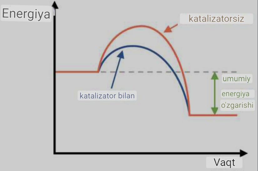 Katalizator nima