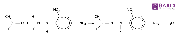 24 DNP testi 2,4-Dinitrofenilgidrazin 04